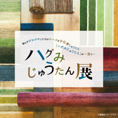 「ハグみじゅうたん展」なんばパークス店・西宮ガーデンズ店で10/16(金)~順次開催!