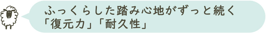 ふっくらした踏み心地がずっと続く復元力、耐久性