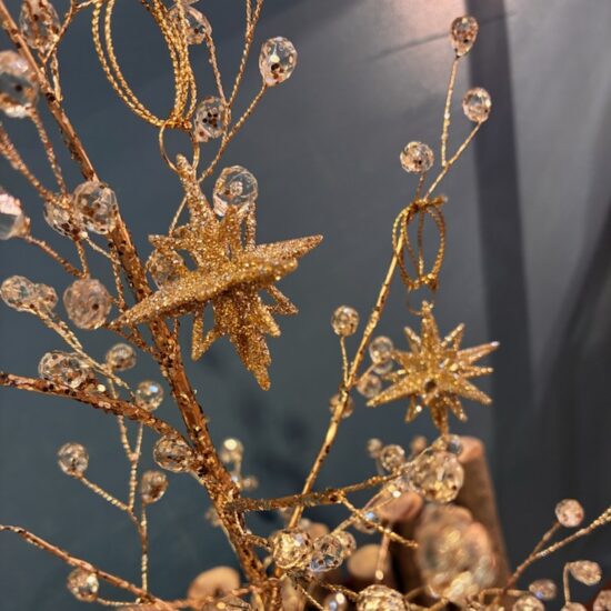 クリスマス、はじまりました