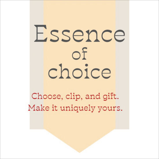 「Essence of Choice」新しいバッグとチャームで気分をアップデート
